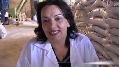 نادية مداني جزائرية تحدت الإعاقة وفتحت مصنعا لأغذية الأغنام