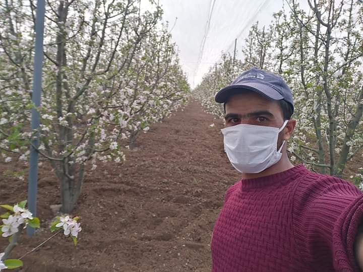 صاحب بستان تفاح في منطقة بوحمامة ولاية خنشلة